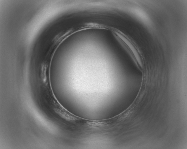 X0000079310862200612011814