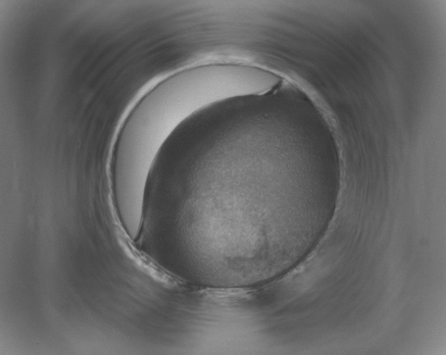 X0000079310864200612011814