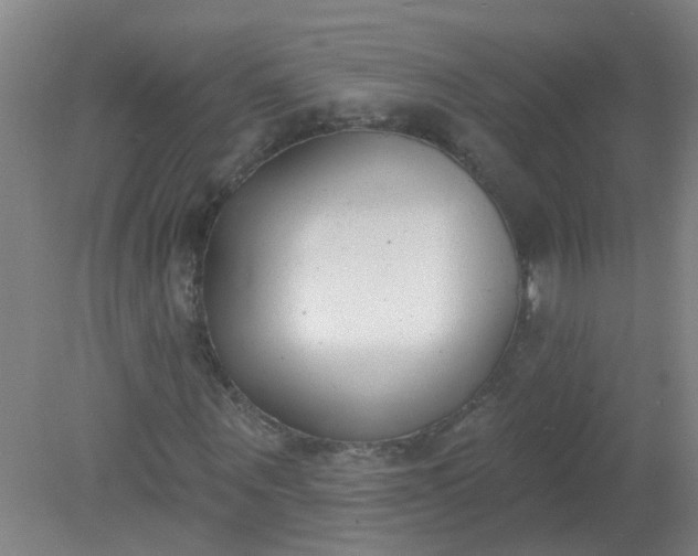 X0000079310867200612011814