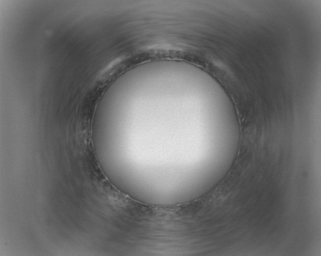 X0000079310870200612011814