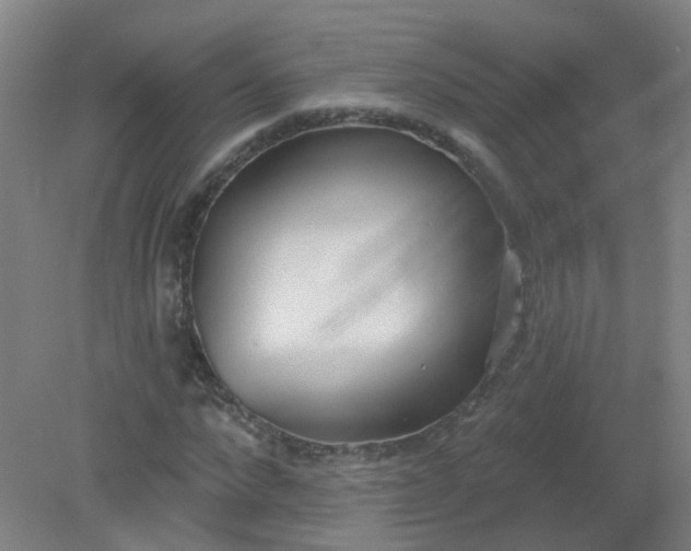X0000079310872200612011813