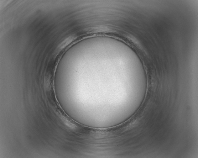 X0000079310873200612011813