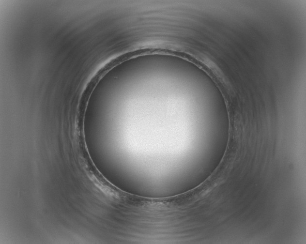 X0000079310880200612011813