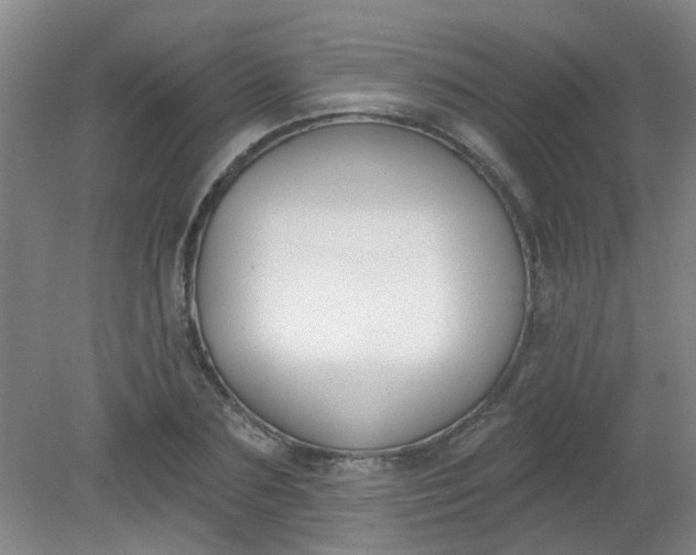 X0000079310883200612011813