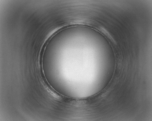 X0000079310884200612011813