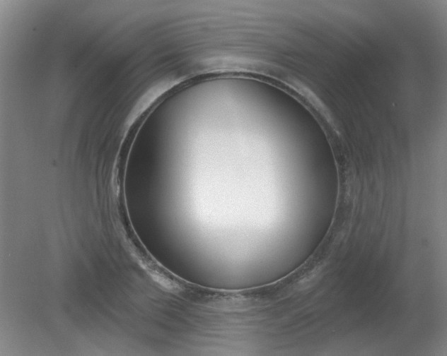 X0000079310885200612011813