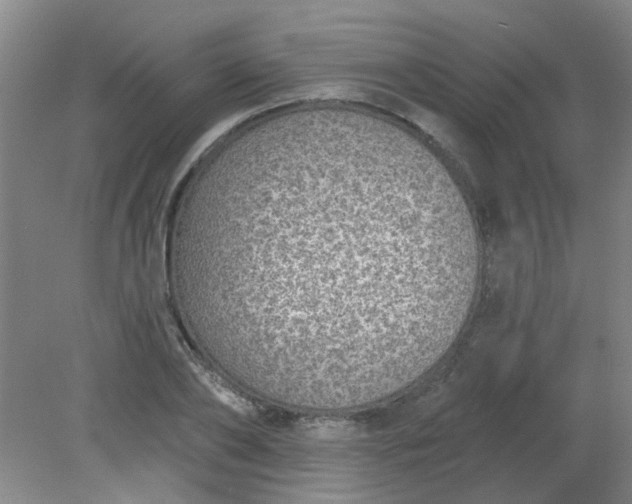 X0000079310886200612011813