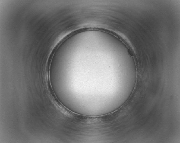 X0000079310887200612011813