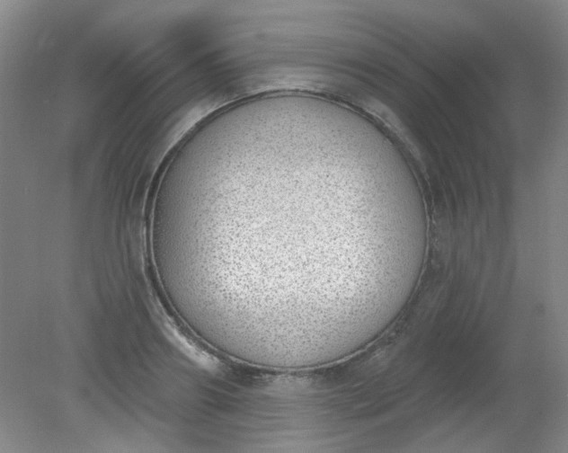 X0000079310890200612011813