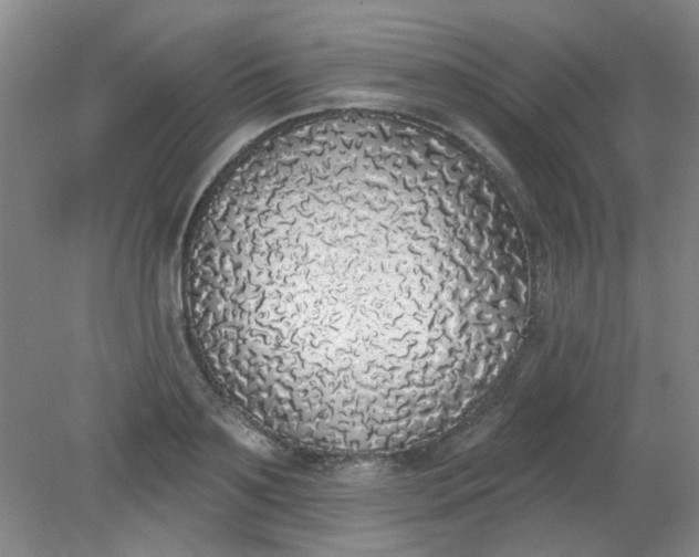 X0000079310891200612011813