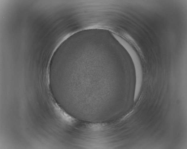 X0000079310892200612011813