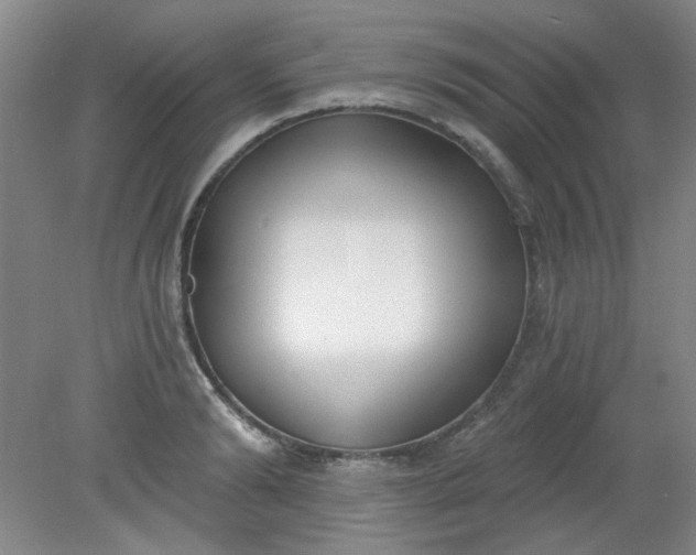 X0000079310894200612011813