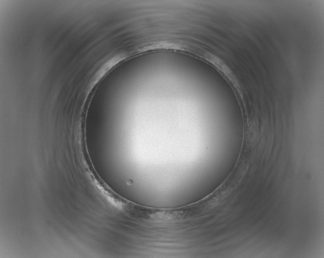 X0000079310898200612011813