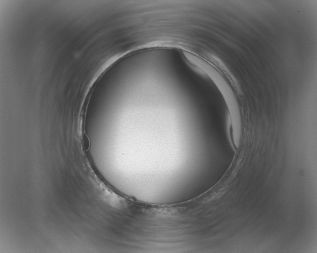 X0000079310900200612011813