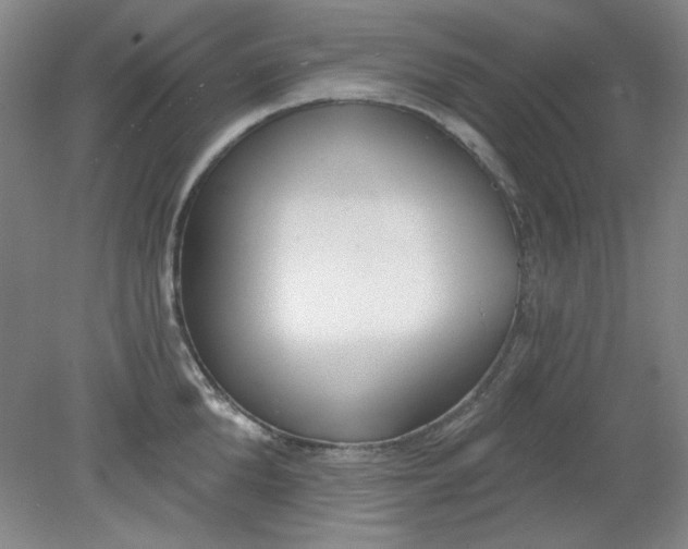X0000079310904200612011813
