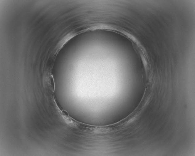 X0000079310905200612011813