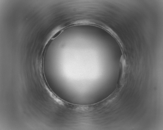 X0000079310909200612011813