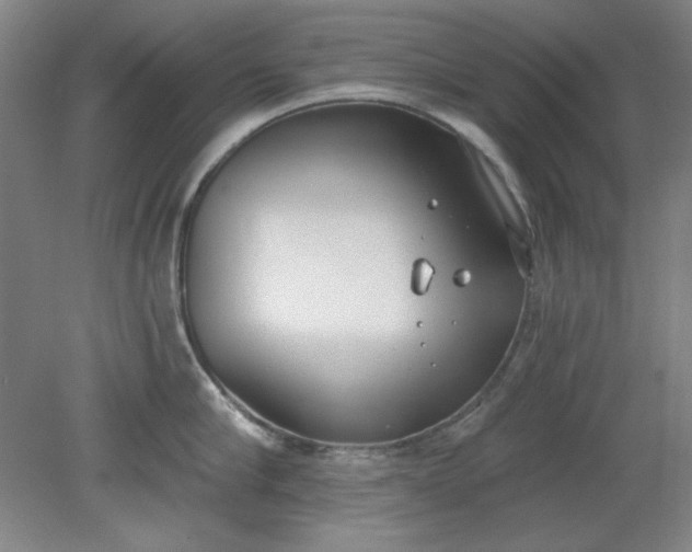 X0000079310910200612011813