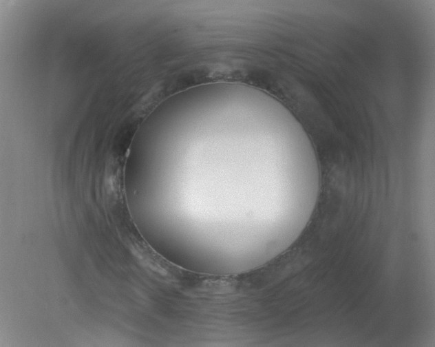 X0000079310914200612011812