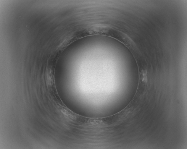 X0000079310915200612011812