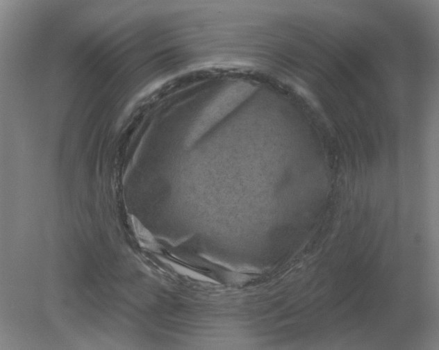 X0000079310920200612011812