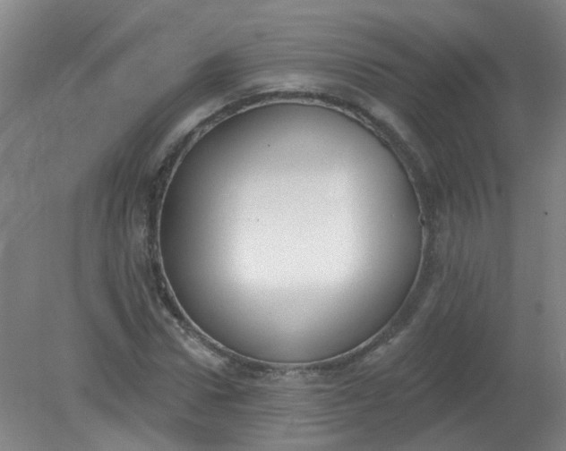X0000079310922200612011812