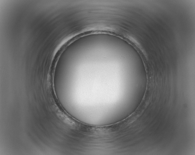 X0000079310928200612011812