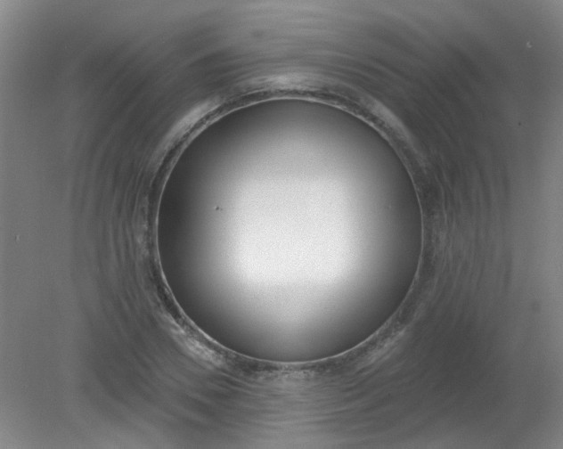 X0000079310930200612011812