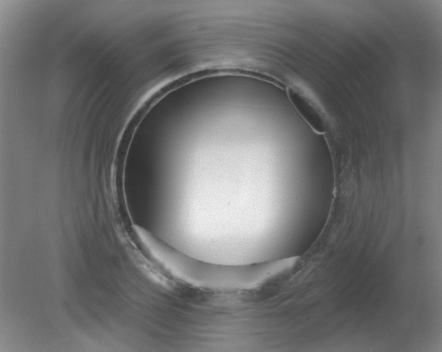 X0000079310932200612011812