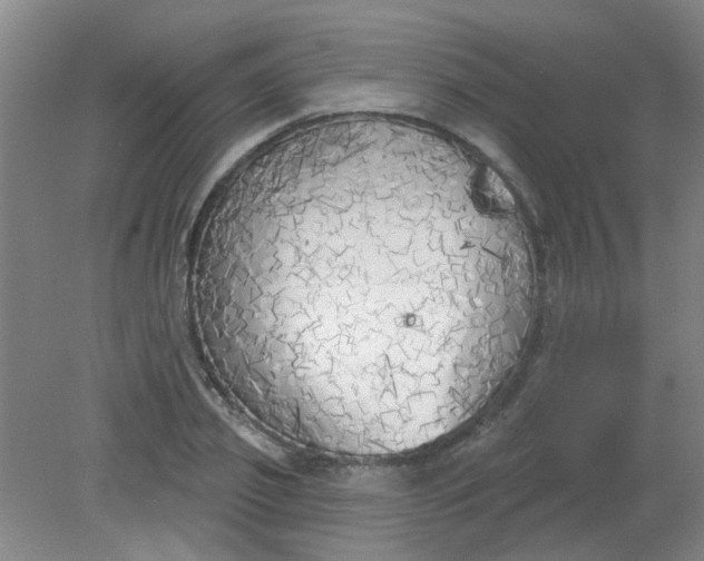 X0000079310933200612011812