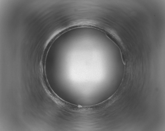 X0000079310936200612011812