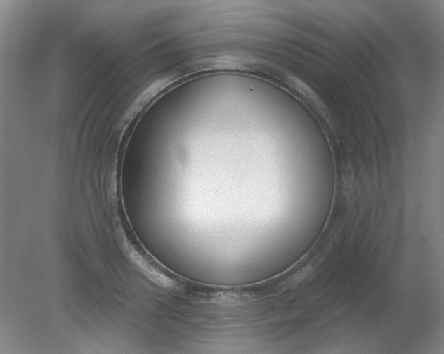 X0000079310938200612011812