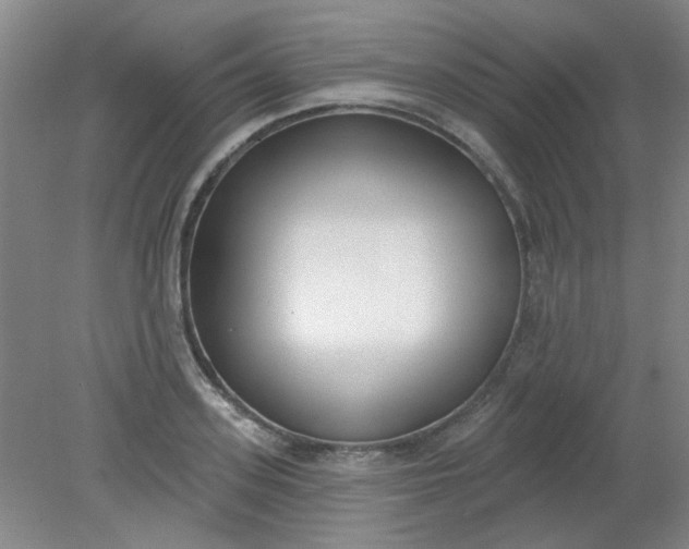X0000079310939200612011812