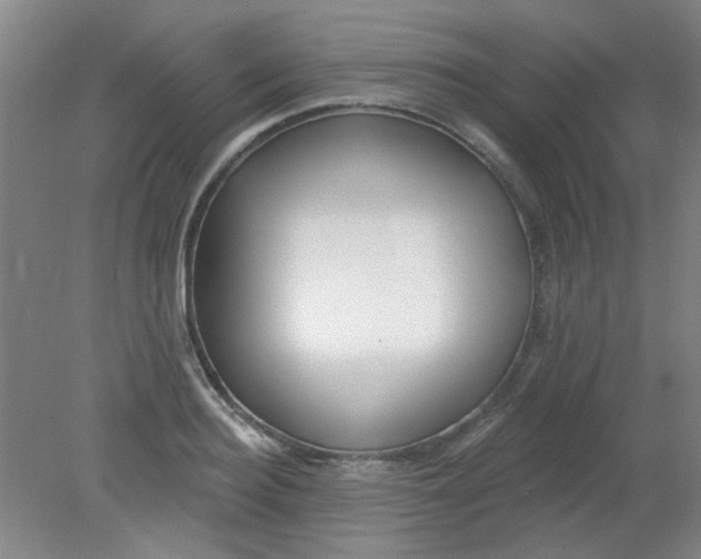 X0000079310940200612011812