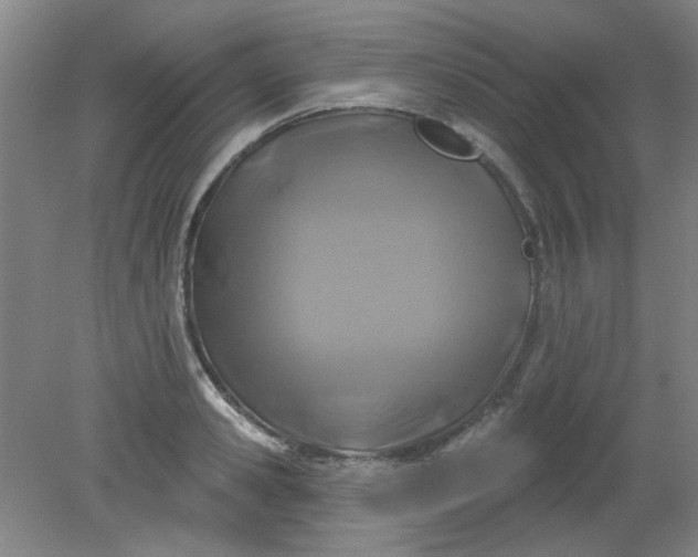 X0000079310941200612011812