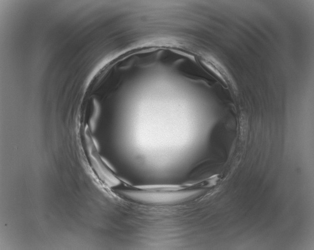 X0000079310944200612011813