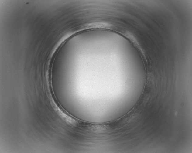 X0000079310947200612011813