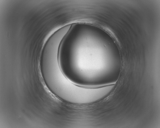X0000079310952200612011813