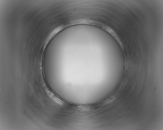 X0000079310954200612011813