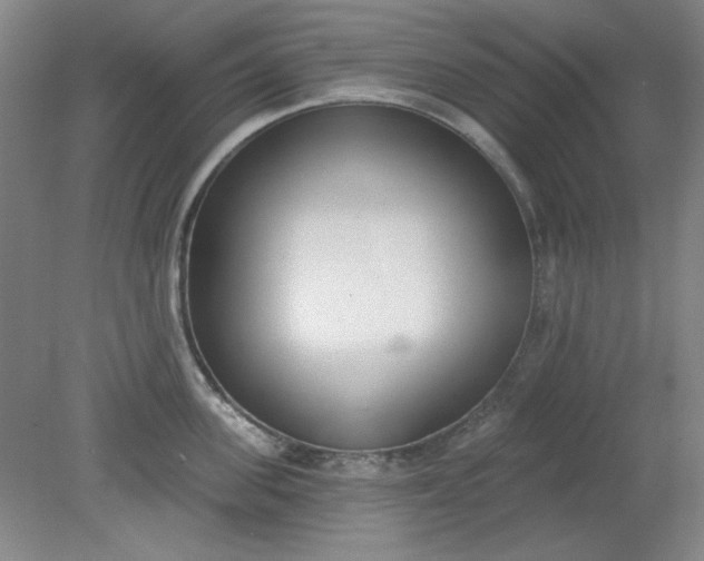 X0000079310955200612011813