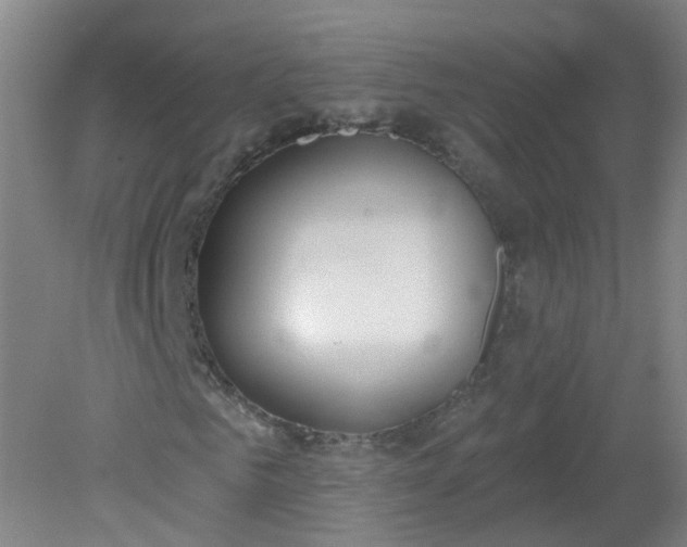 X0000079310961200612011812