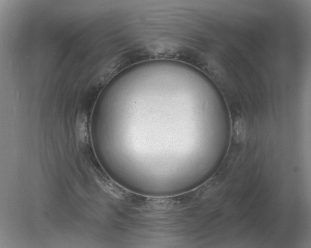 X0000079310963200612011812