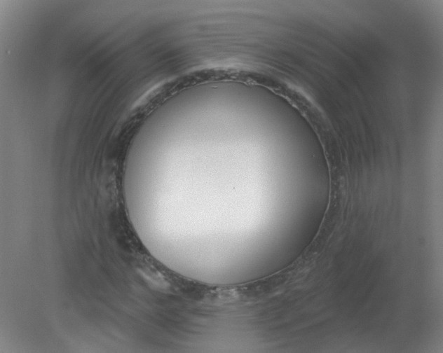 X0000079310968200612011812