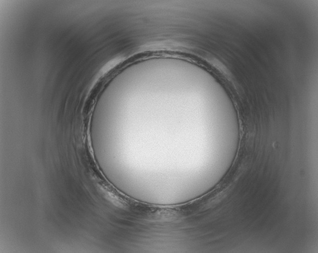X0000079310974200612011812