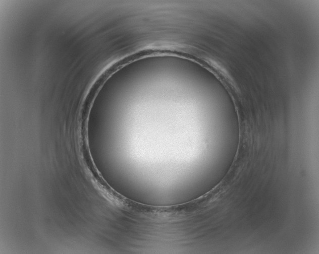 X0000079310976200612011812