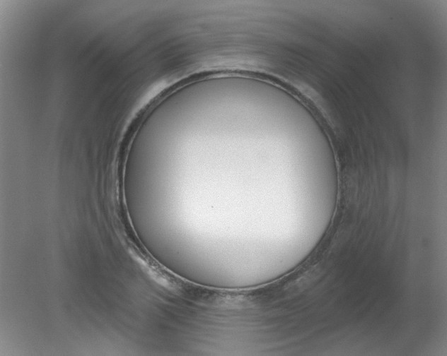 X0000079310982200612011812