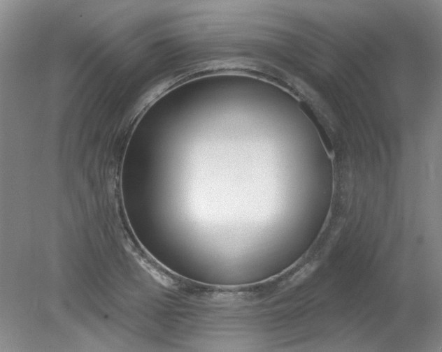 X0000079310985200612011812