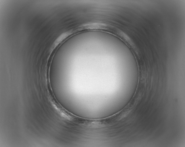 X0000079310986200612011812