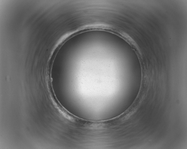X0000079310989200612011811