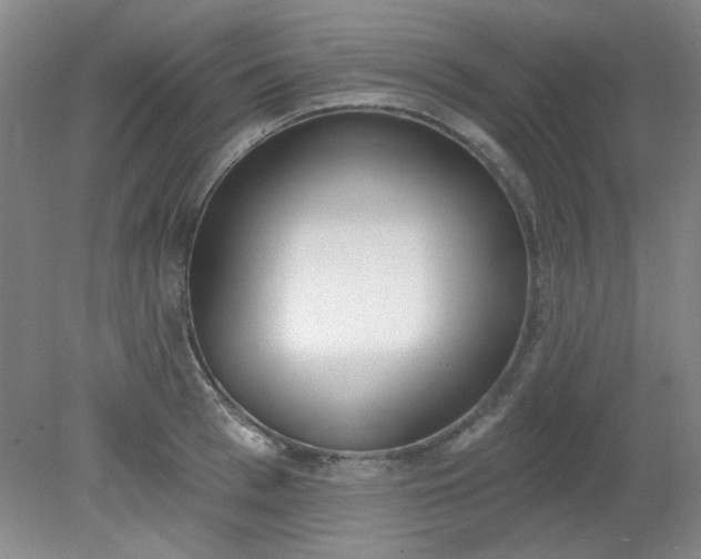 X0000079310993200612011811
